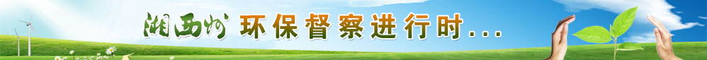 环保督察通栏 - 副本.jpg